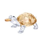 Tortuga