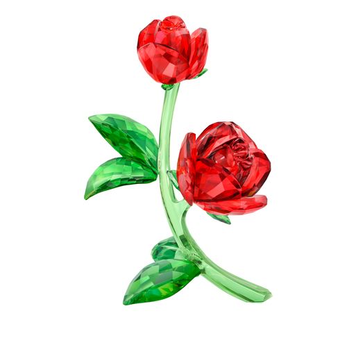 Rosa roja