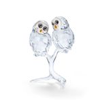 Pareja-de-buhos