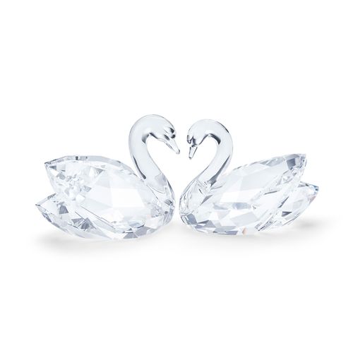 Pareja de cisnes