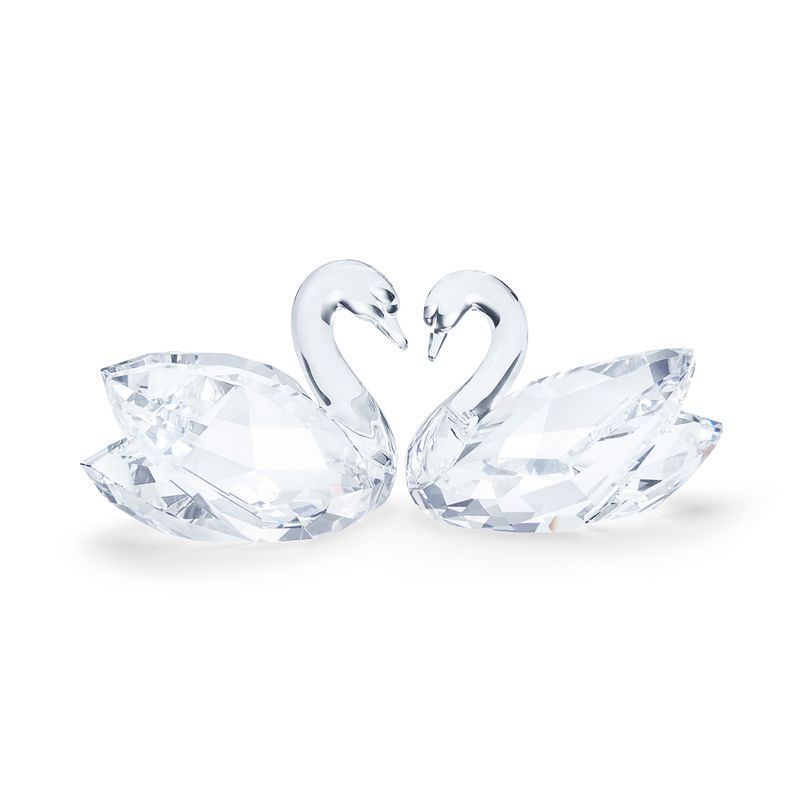 Pareja-de-cisnes