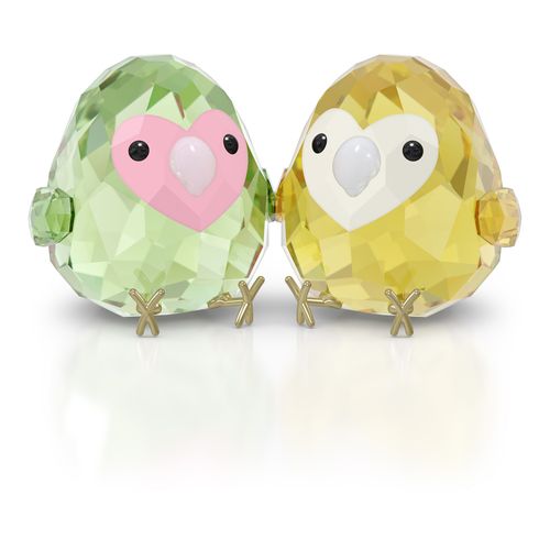 All you Need are Birds Pareja de tortolitos