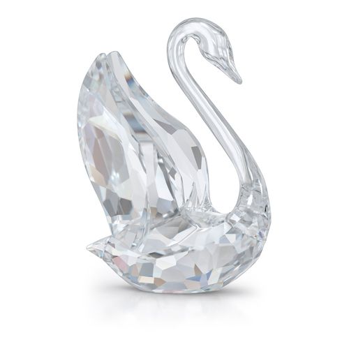 Iconic Swan, Cisne, Pequeño