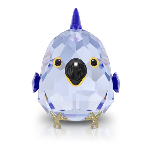 All you Need are Birds Guacamayo Azul