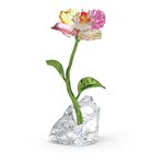 Idyllia-Flor-Pequeña