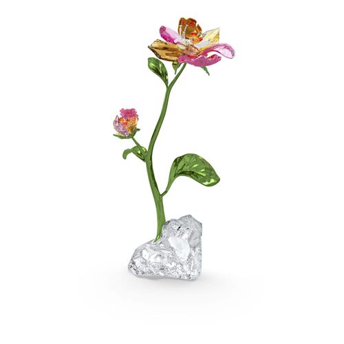 Idyllia Flor, Grande