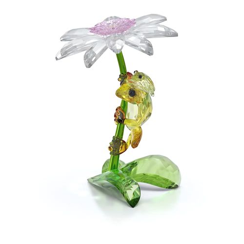 Idyllia Ranas y Flor