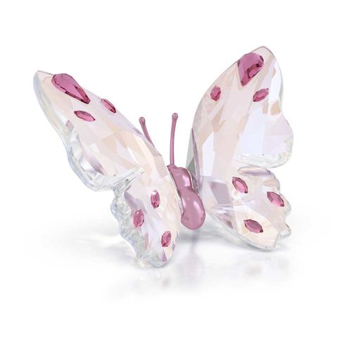 Idyllia Mariposa, Pequeña