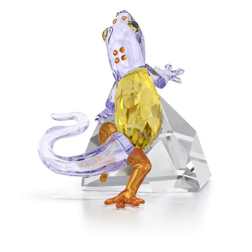 Idyllia Geco