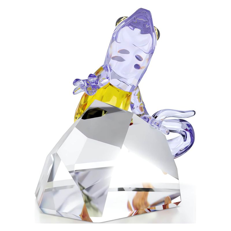 5693146_var2