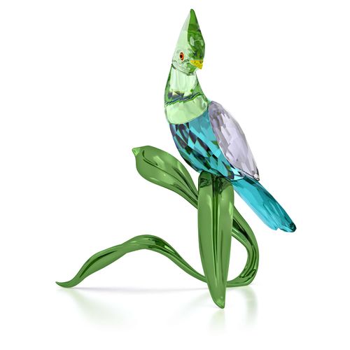 Idyllia Turaco verde