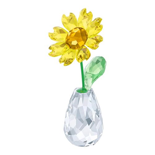 Flower Dreams Girasol
