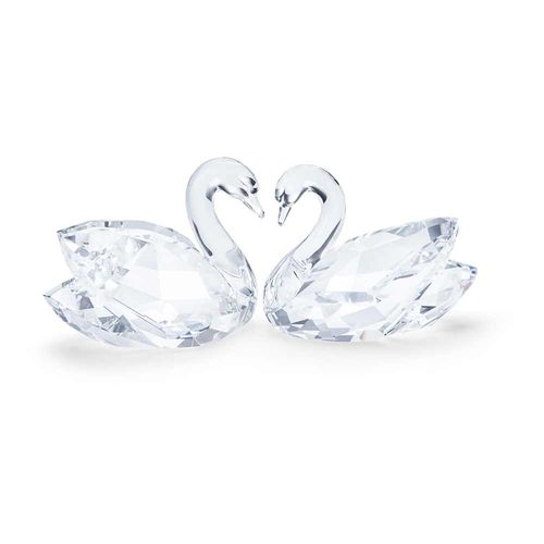 Pareja de cisnes